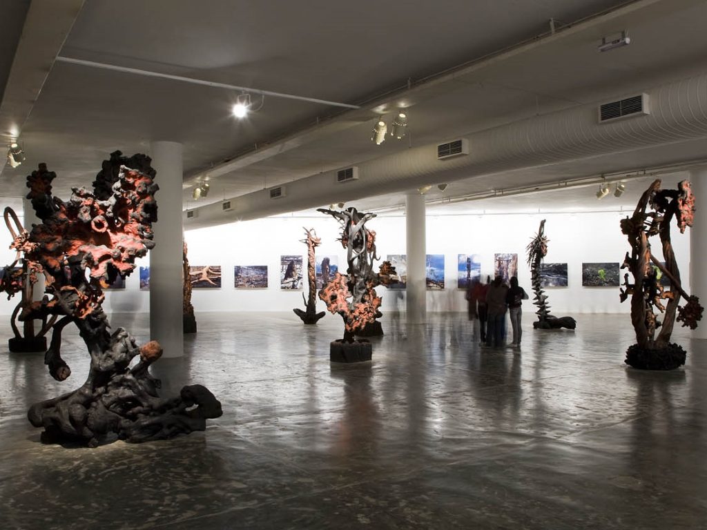 MAM 60 - Museu de Arte Moderna