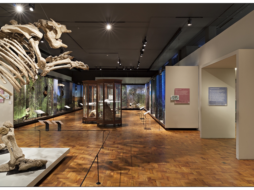 Museu de Zoologia