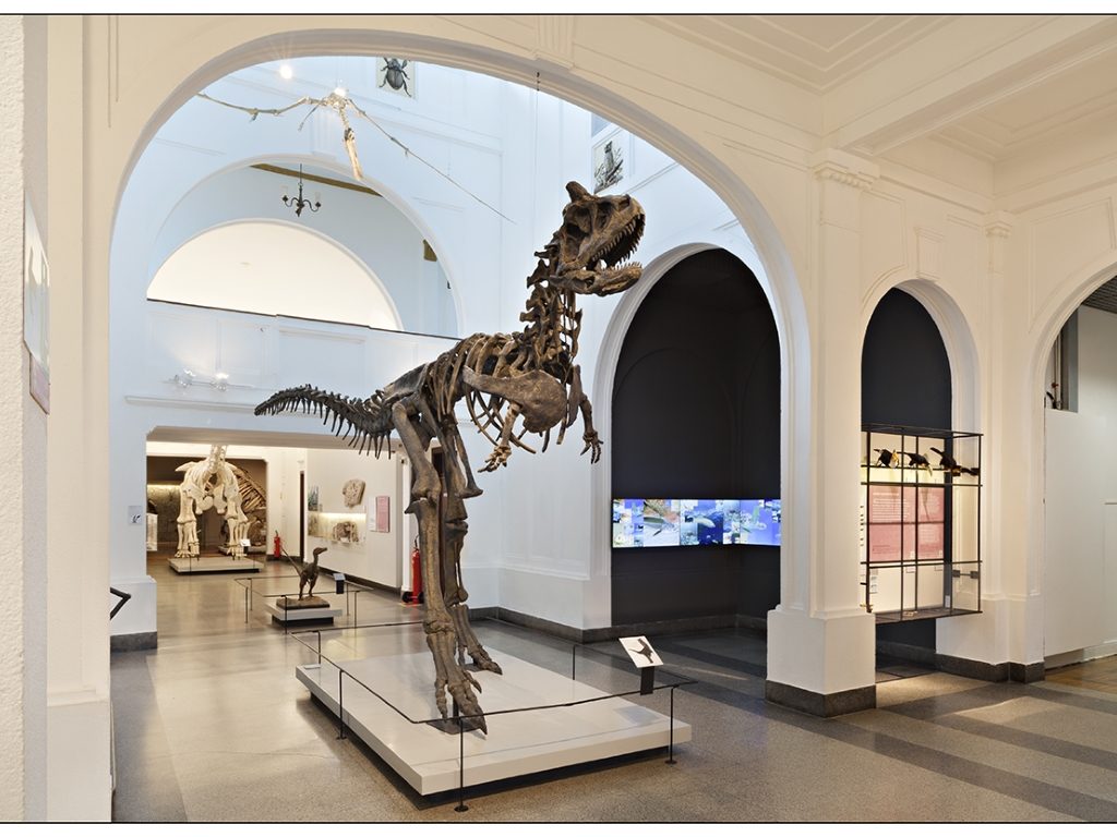 Museu de Zoologia